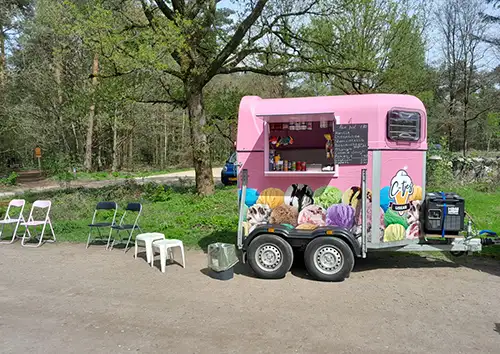 Kleine foto Cartierheide c-tjes ijskar